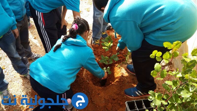 مدرسة المستقبل تكرم الشجرة برعاية المجلس المحلي. 